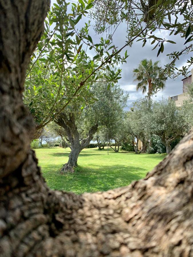 Aggelos And Thisbe Chania Suburbs Sea View Guest House מראה חיצוני תמונה