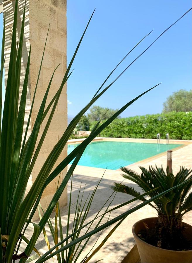 Aggelos And Thisbe Chania Suburbs Sea View Guest House מראה חיצוני תמונה